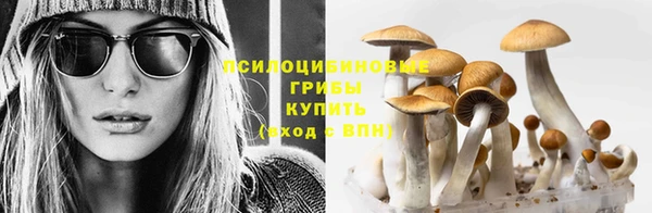 прущая мука Богданович