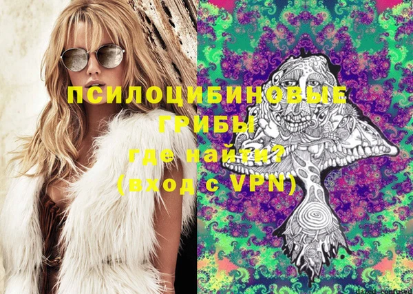 дурь Богородицк