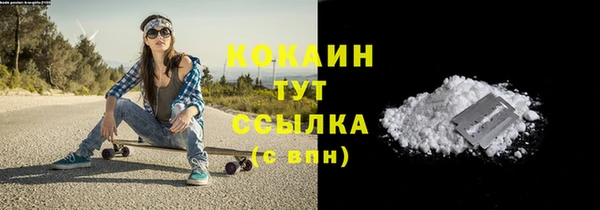 дурь Богородицк