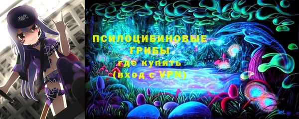 прущая мука Богданович