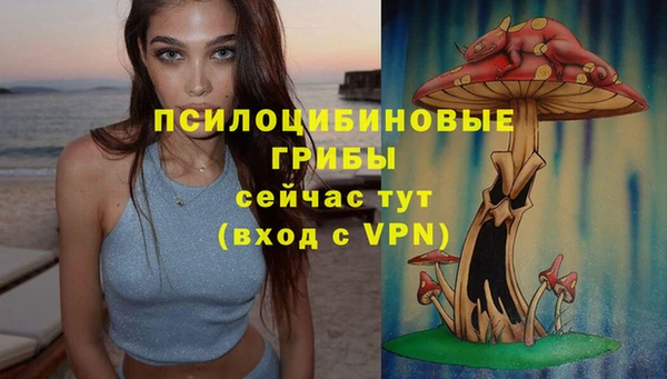 apvp Богородск