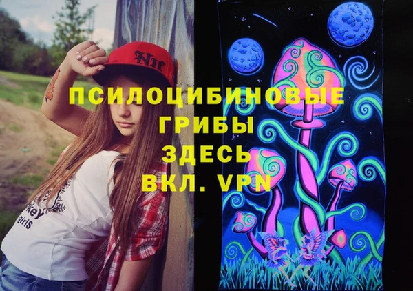 дурь Богородицк