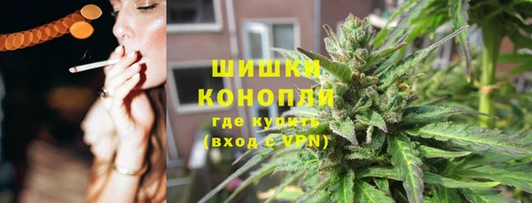 дурь Богородицк