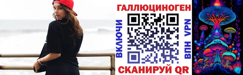 Галлюциногенные грибы Psilocybe  купить наркотики сайты  Шатура 